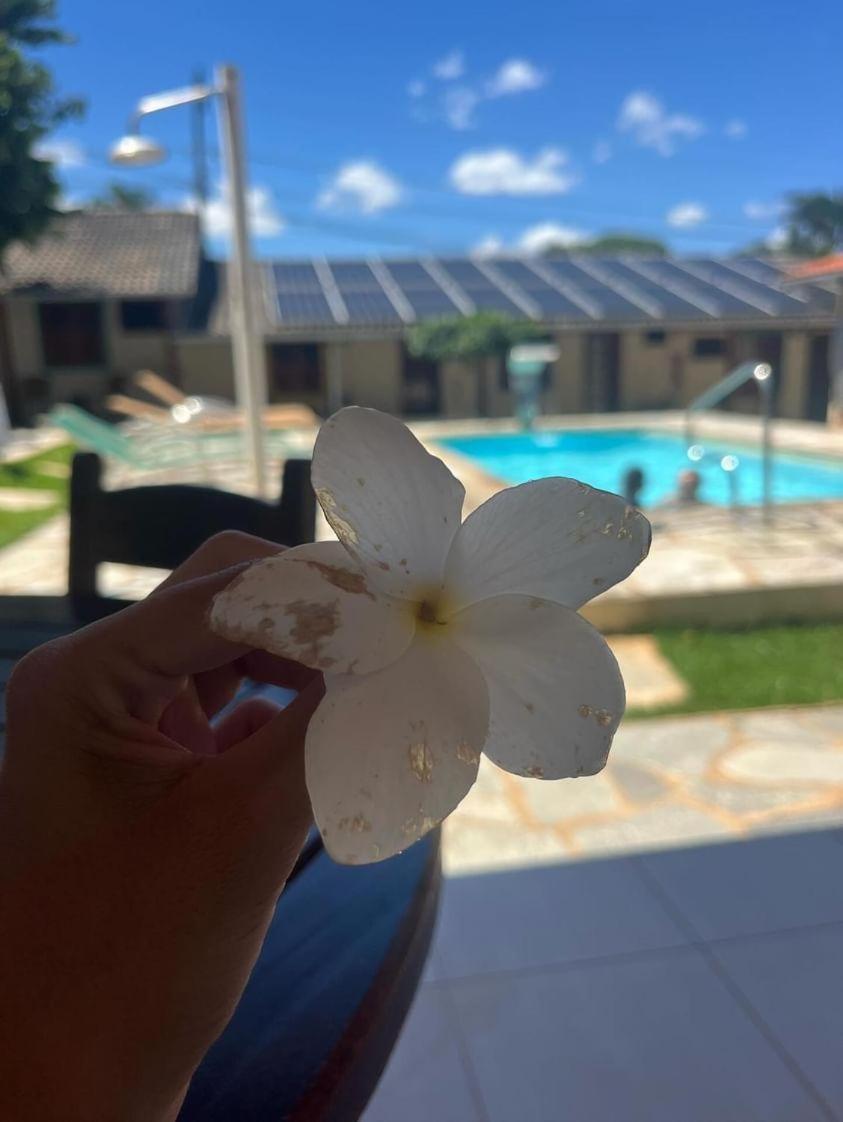 Brisa Da Serra Hotel Pousada Pirenópolis Exteriör bild